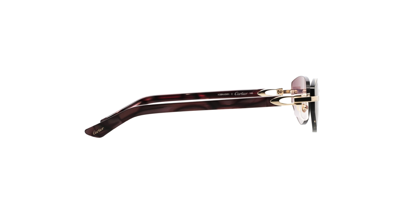 Cartier CT0580S 002 s56