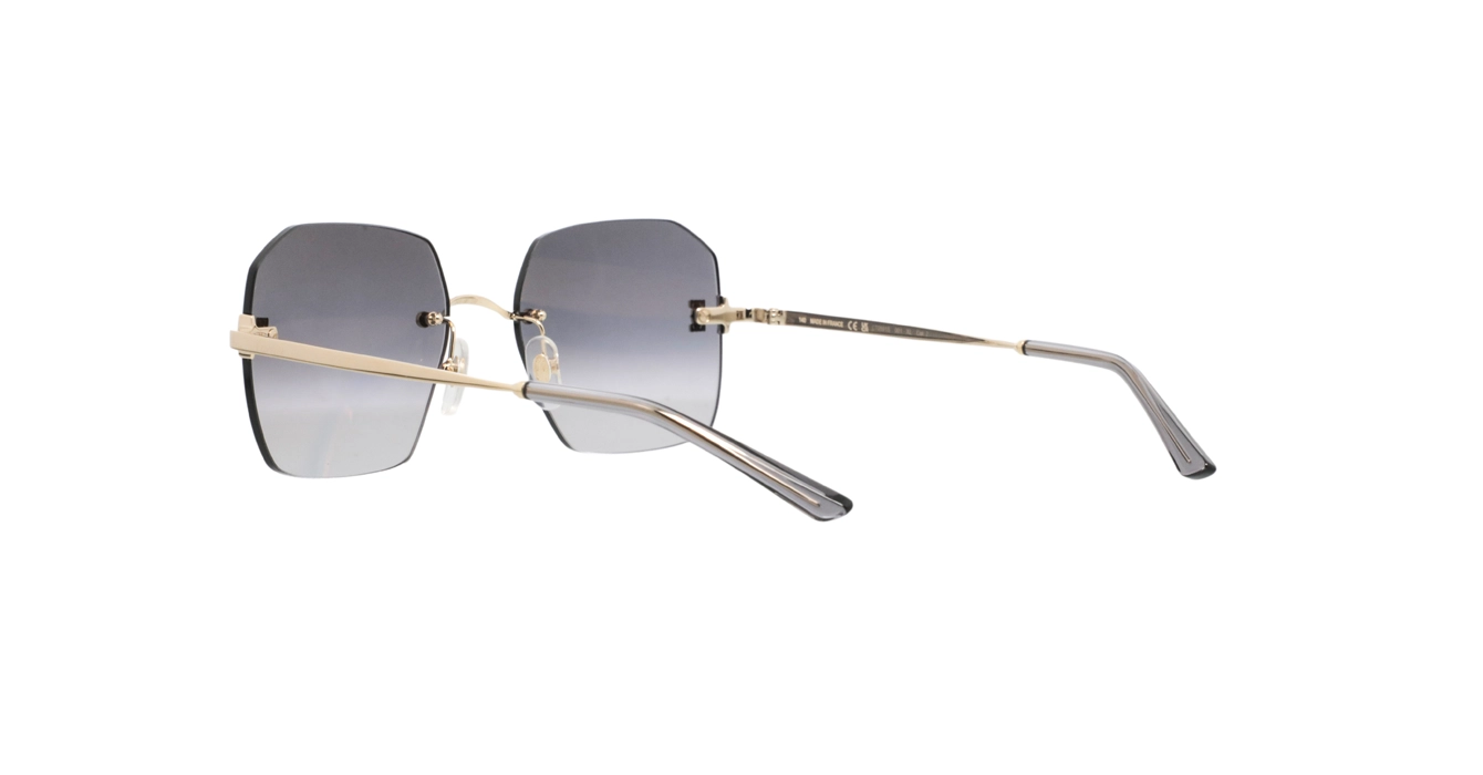Cartier CT0591S 001 s55