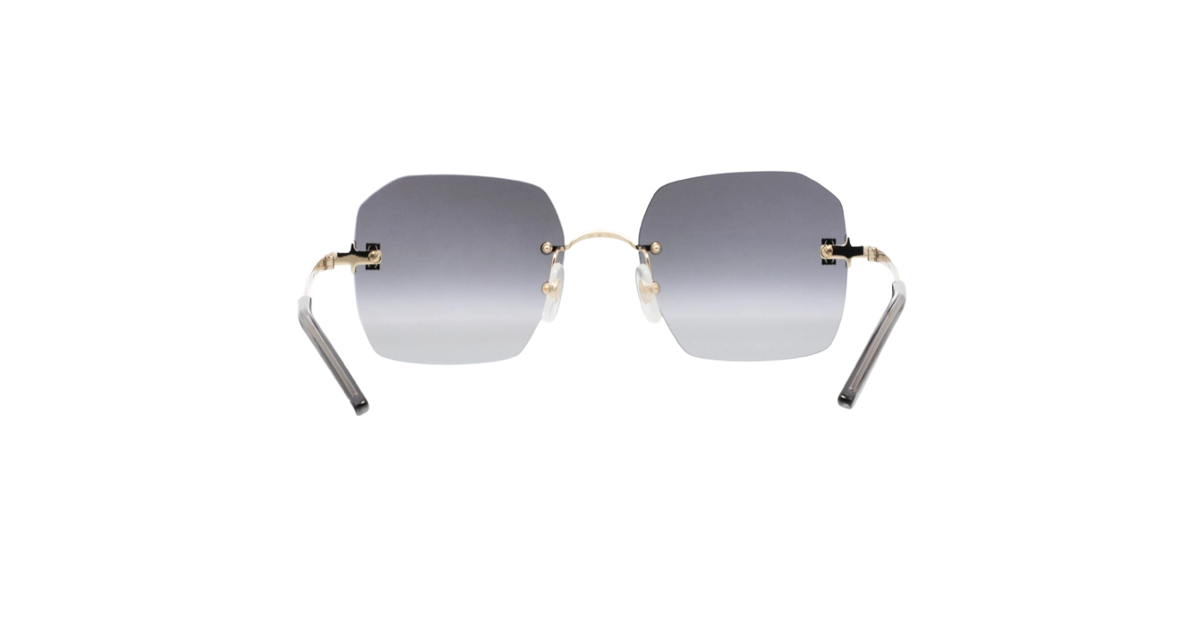 Cartier CT0591S 001 s55