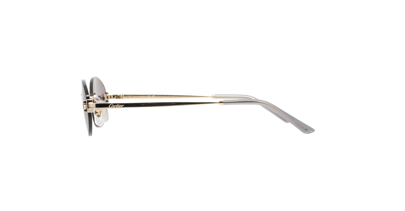 Cartier CT0592S 001 s55
