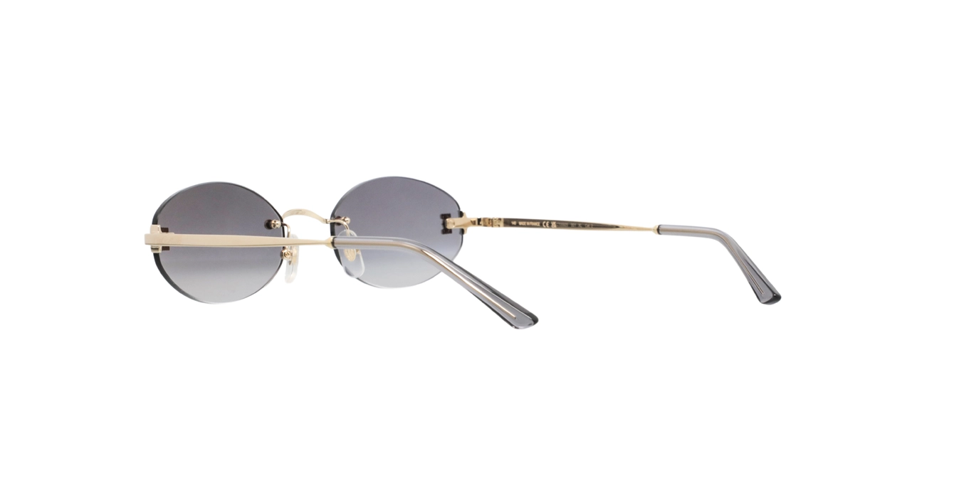 Cartier CT0592S 001 s55