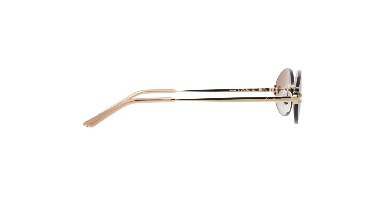 Cartier CT0592S 002 s55