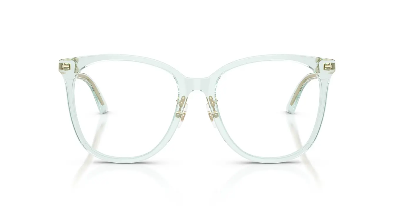 Jimmy Choo JC3060F 5108 s53