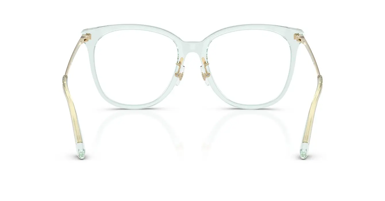 Jimmy Choo JC3060F 5108 s53