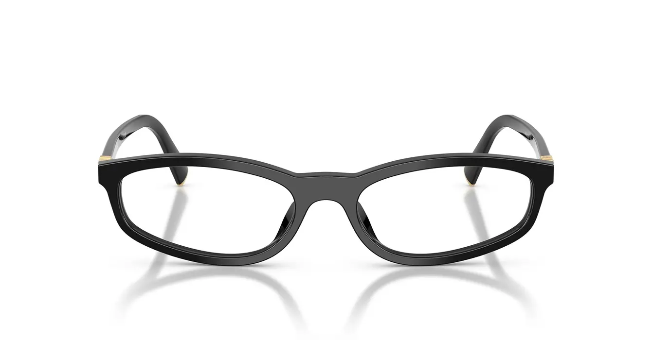 Miu Miu VMU01Z-F 16K-1O1 s54