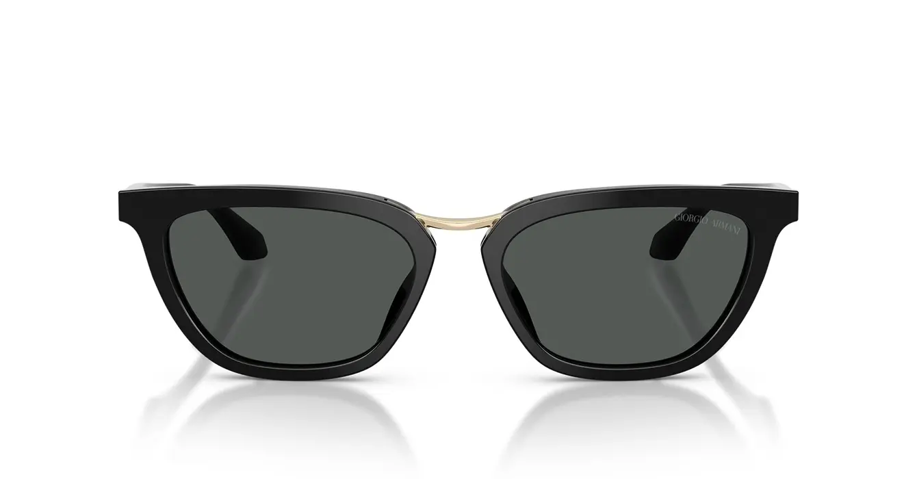 Giorgio Armani AR8253-U 5017/87 s54
