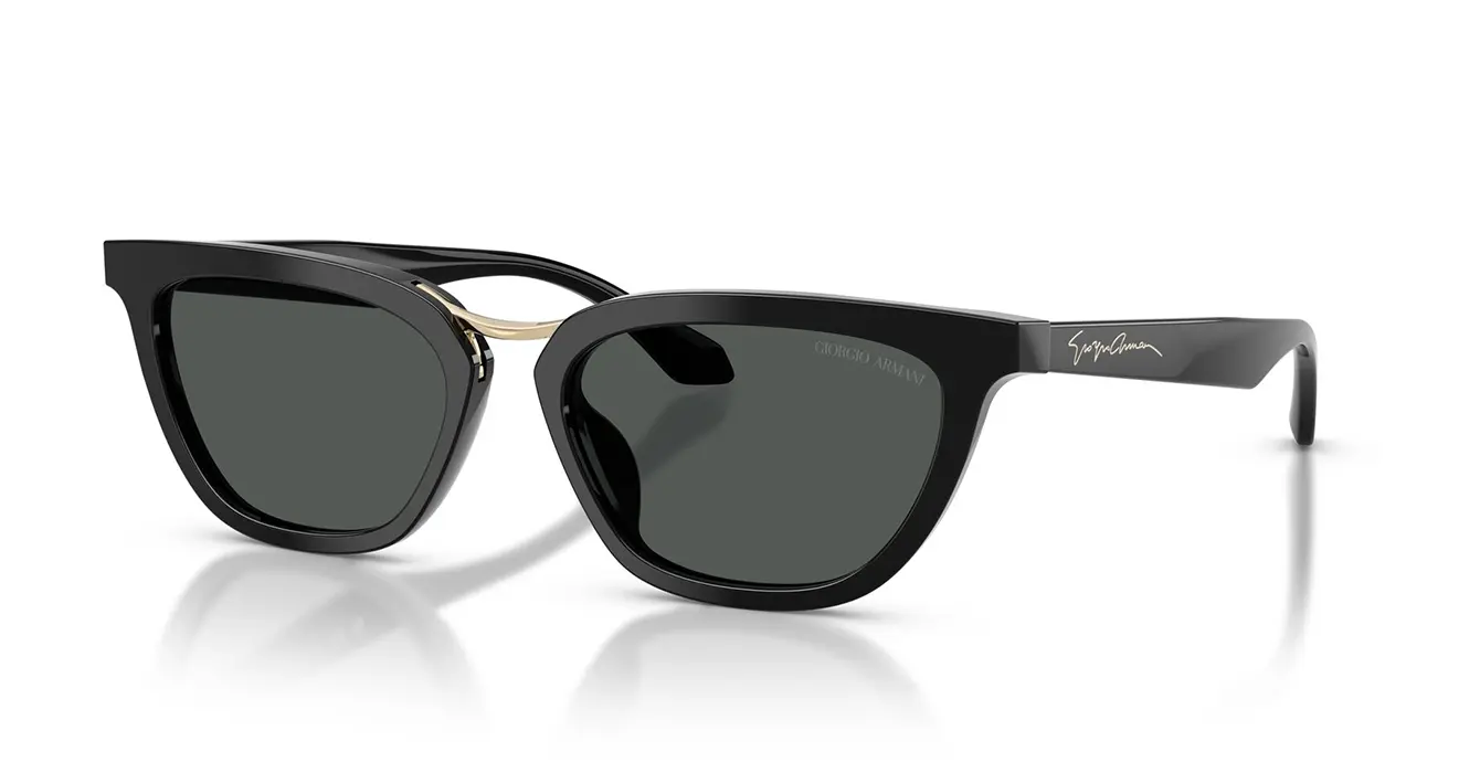 Giorgio Armani AR8253-U 5017/87 s54