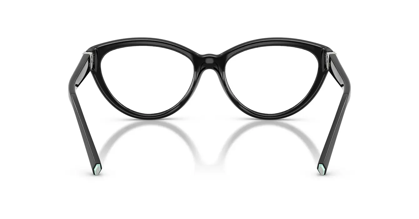 Tiffany&co TF2287-U 8001 s55