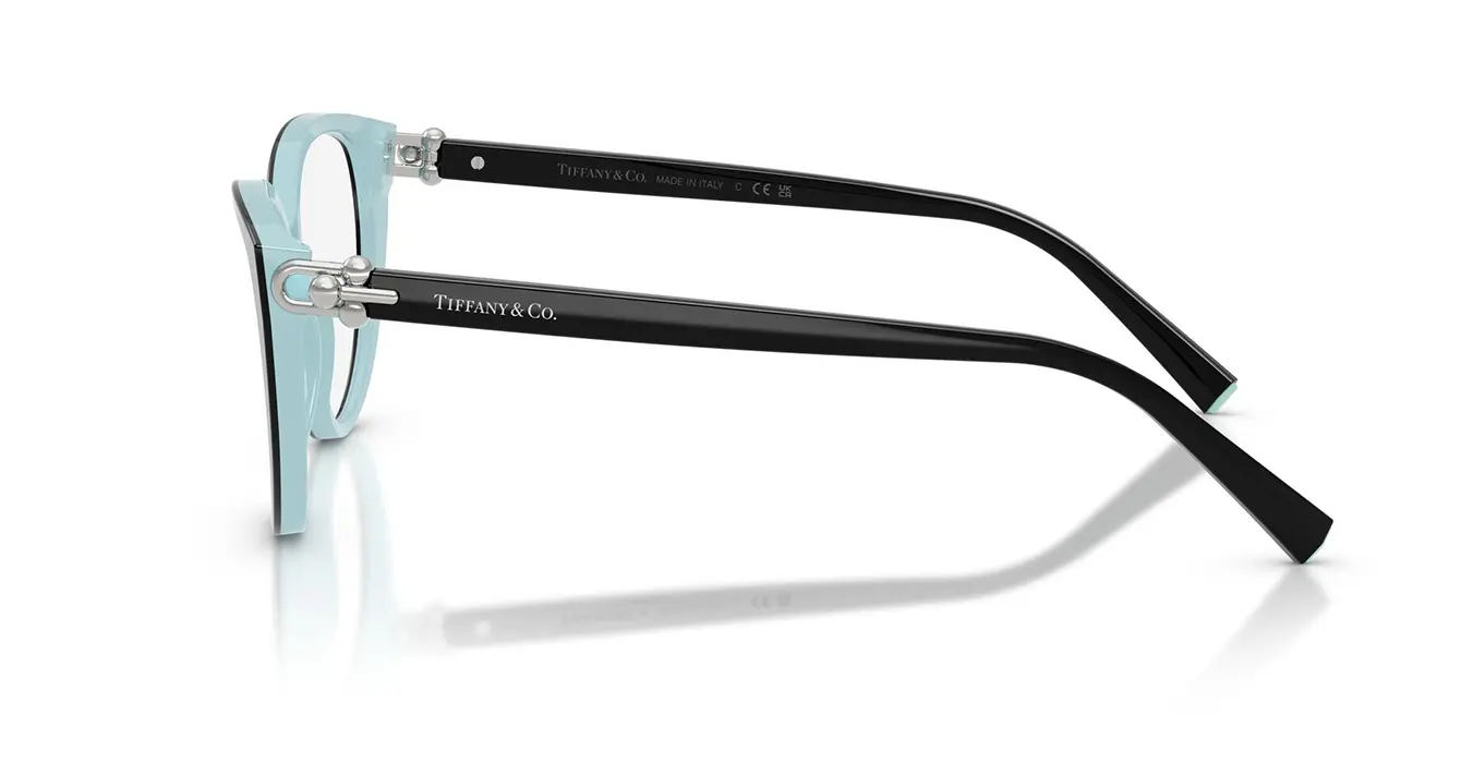Tiffany&co TF2292-F 8055 s55