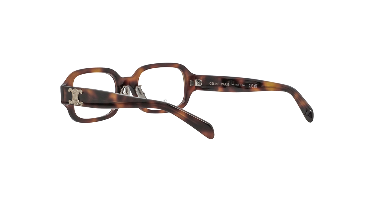 Celine CL50173F 053 s52