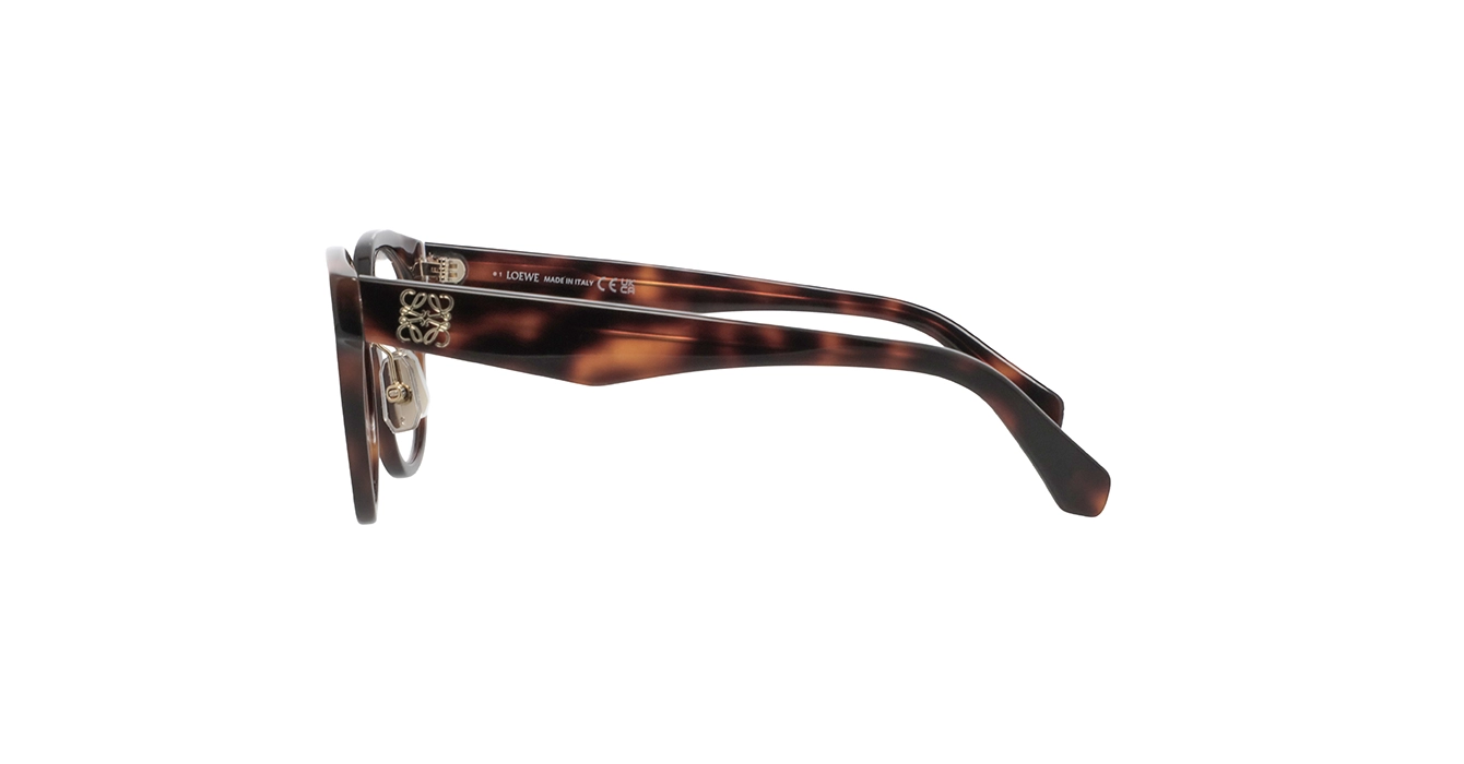 Loewe LW50114F 052 s52