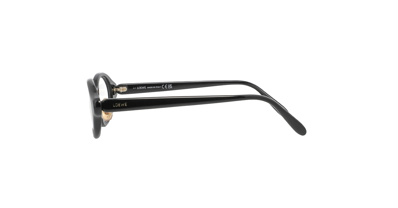 Loewe LW50110F 001 s50