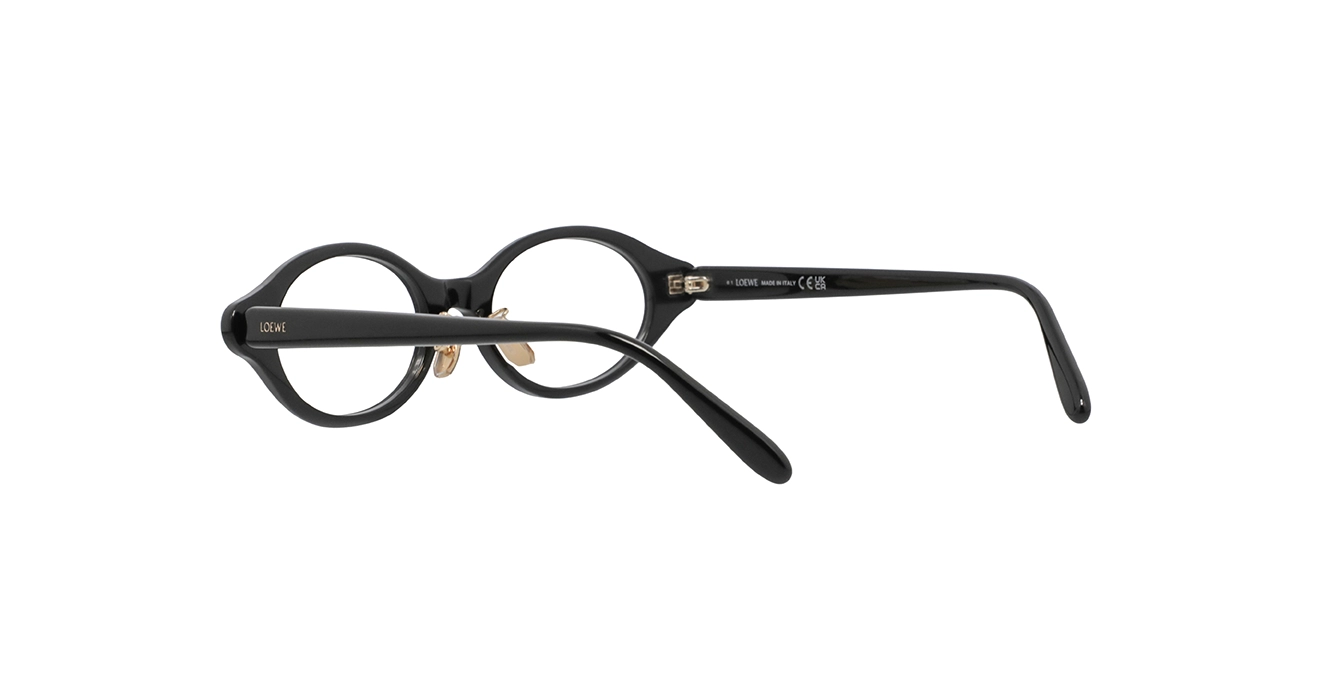 Loewe LW50110F 001 s50