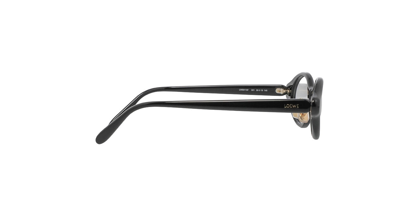 Loewe LW50110F 001 s50