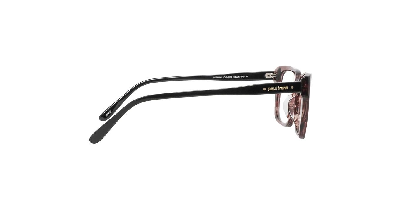 Paul Frank PFF8466 4020 s53