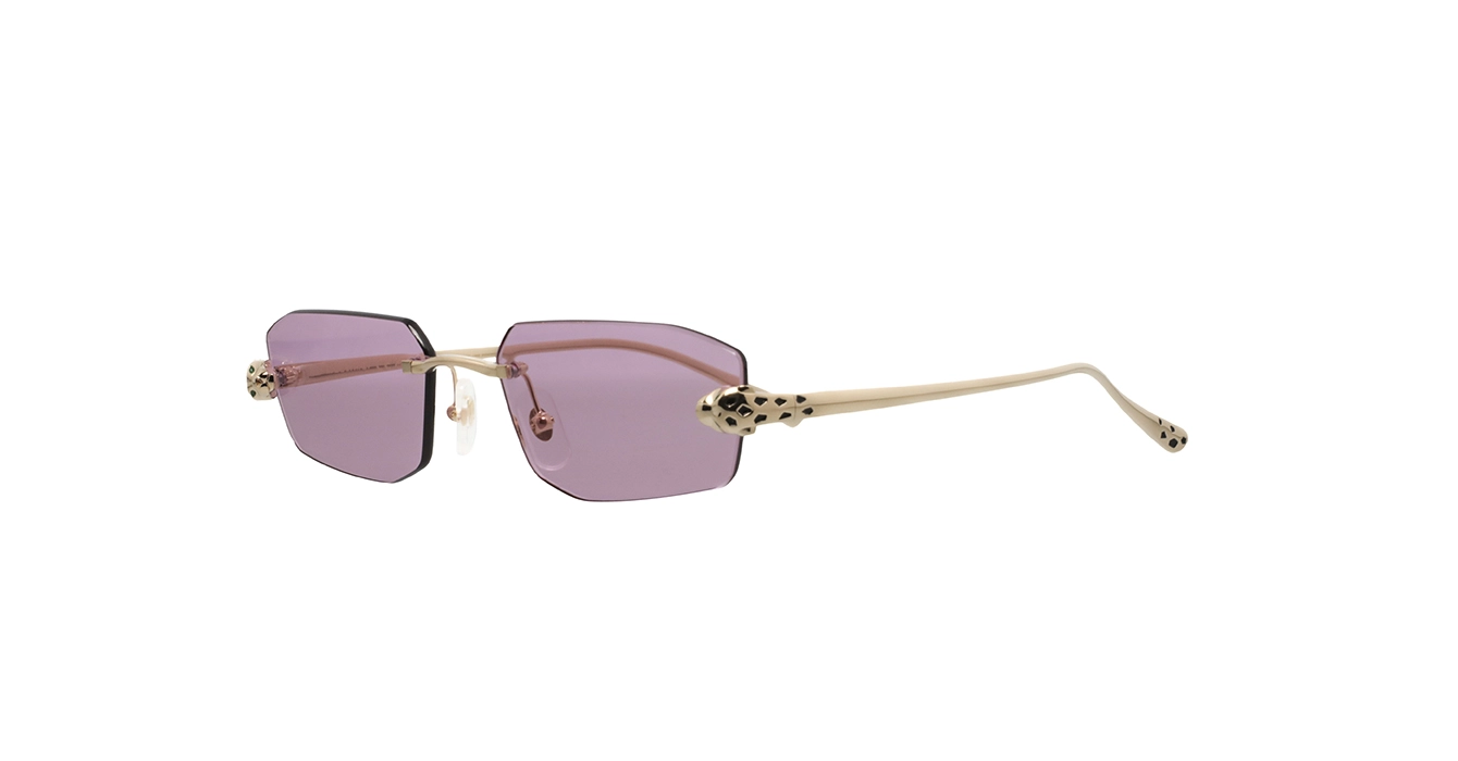 Cartier CT0474S 006 s56