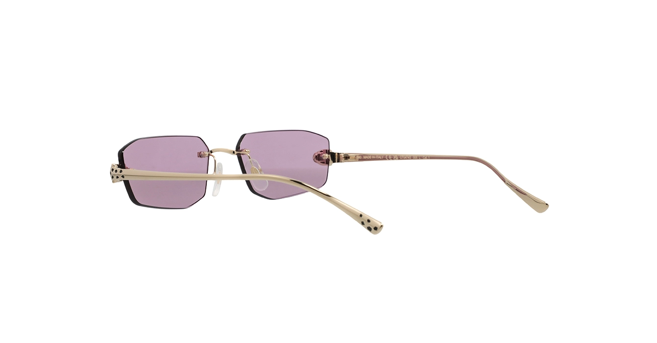 Cartier CT0474S 006 s56