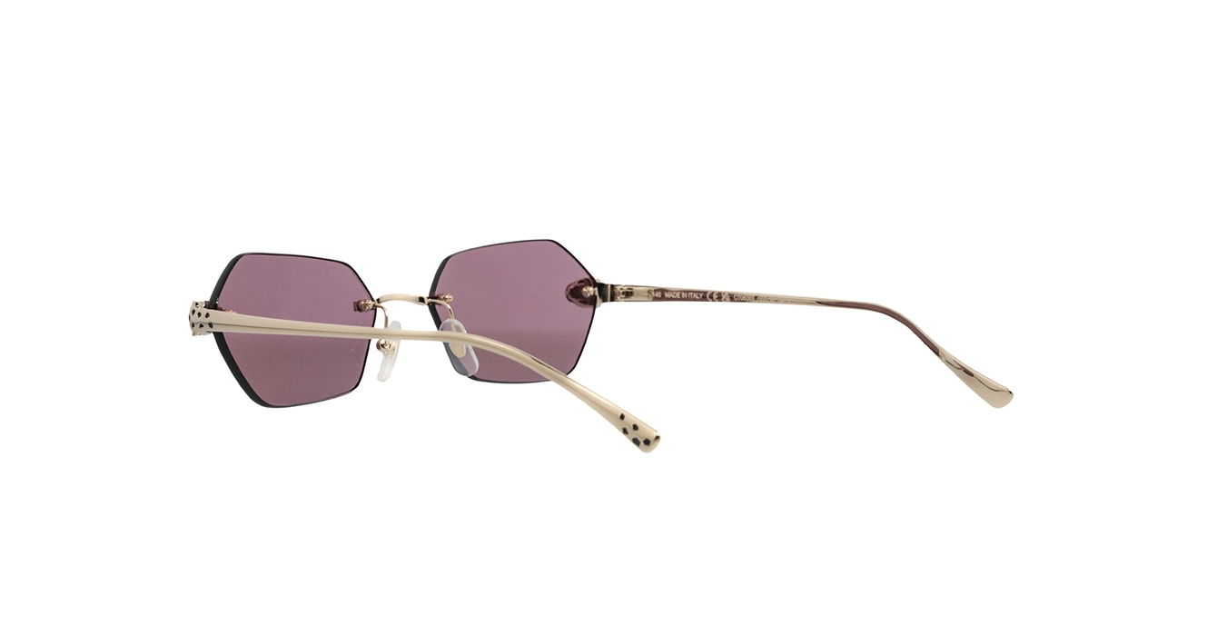 Cartier CT0636S 003 s55