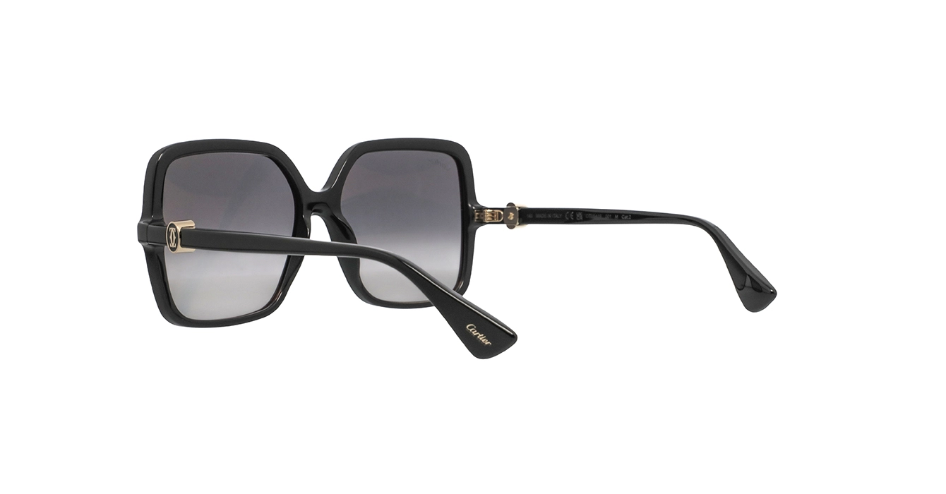 Cartier CT0641S 001 s58