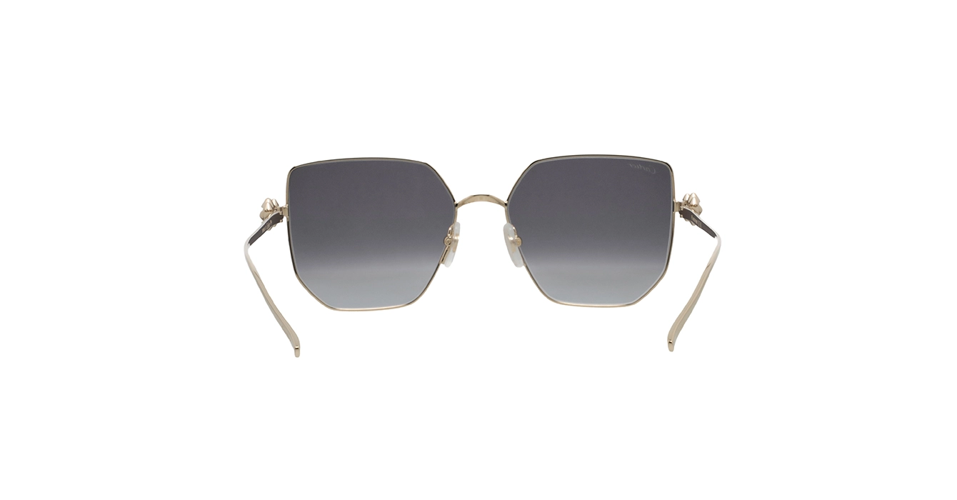 Cartier CT0645S 001 s56