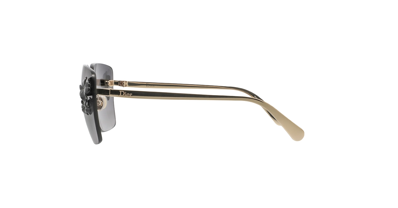 Dior Clover S2U CD40248U B0A1 s62