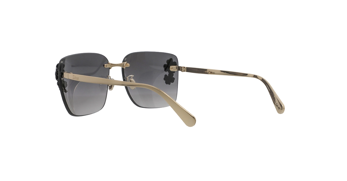 Dior Clover S2U CD40248U B0A1 s62