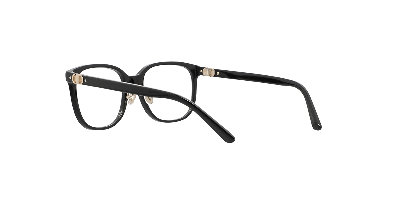 Dior Petit CDO S2F CD50142F 1000 s53