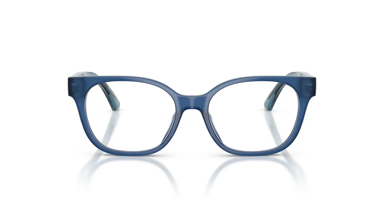 Emporio Armani EK3014U 6390 s48