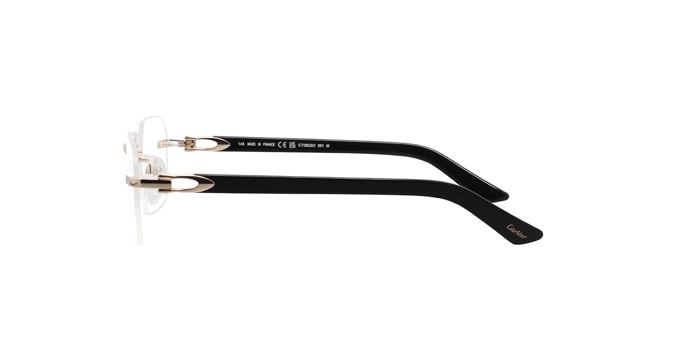 Cartier CT0623O 001 s54