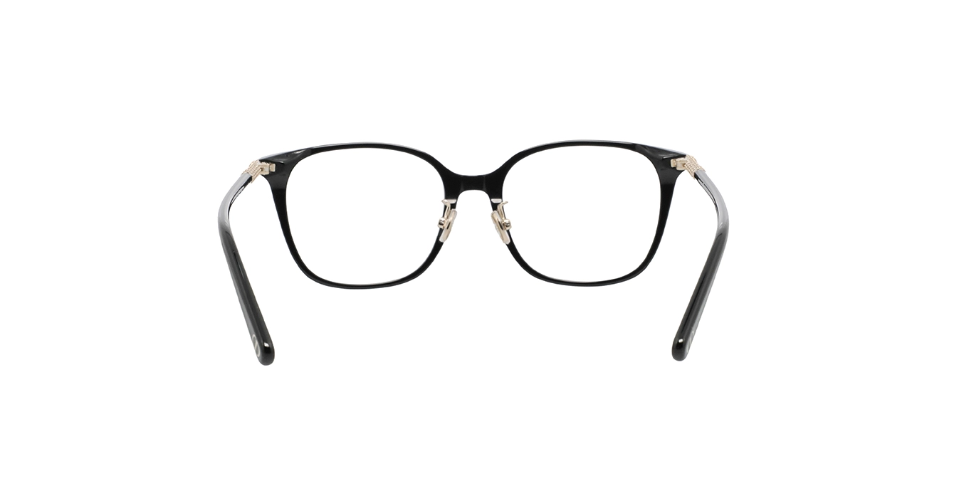 Dior MiniCDO S10F CD5145FS 1000 s51