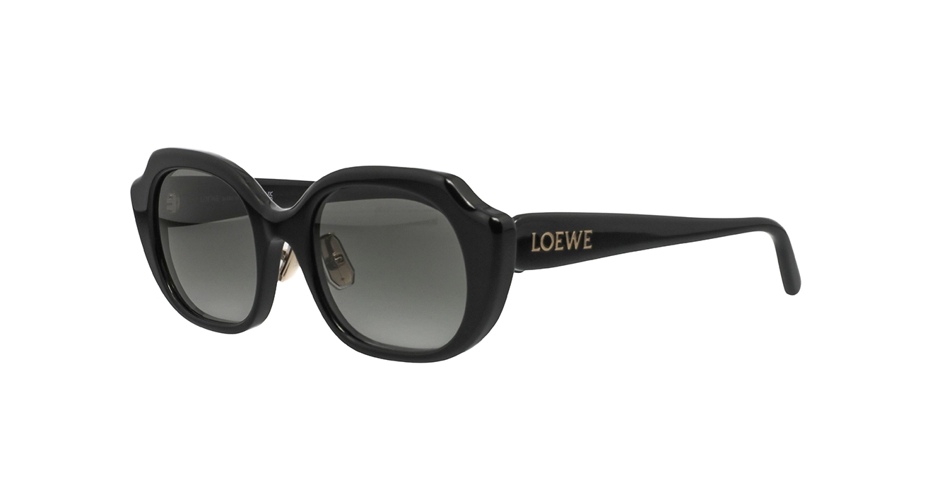 Loewe LW40191F 01B s52