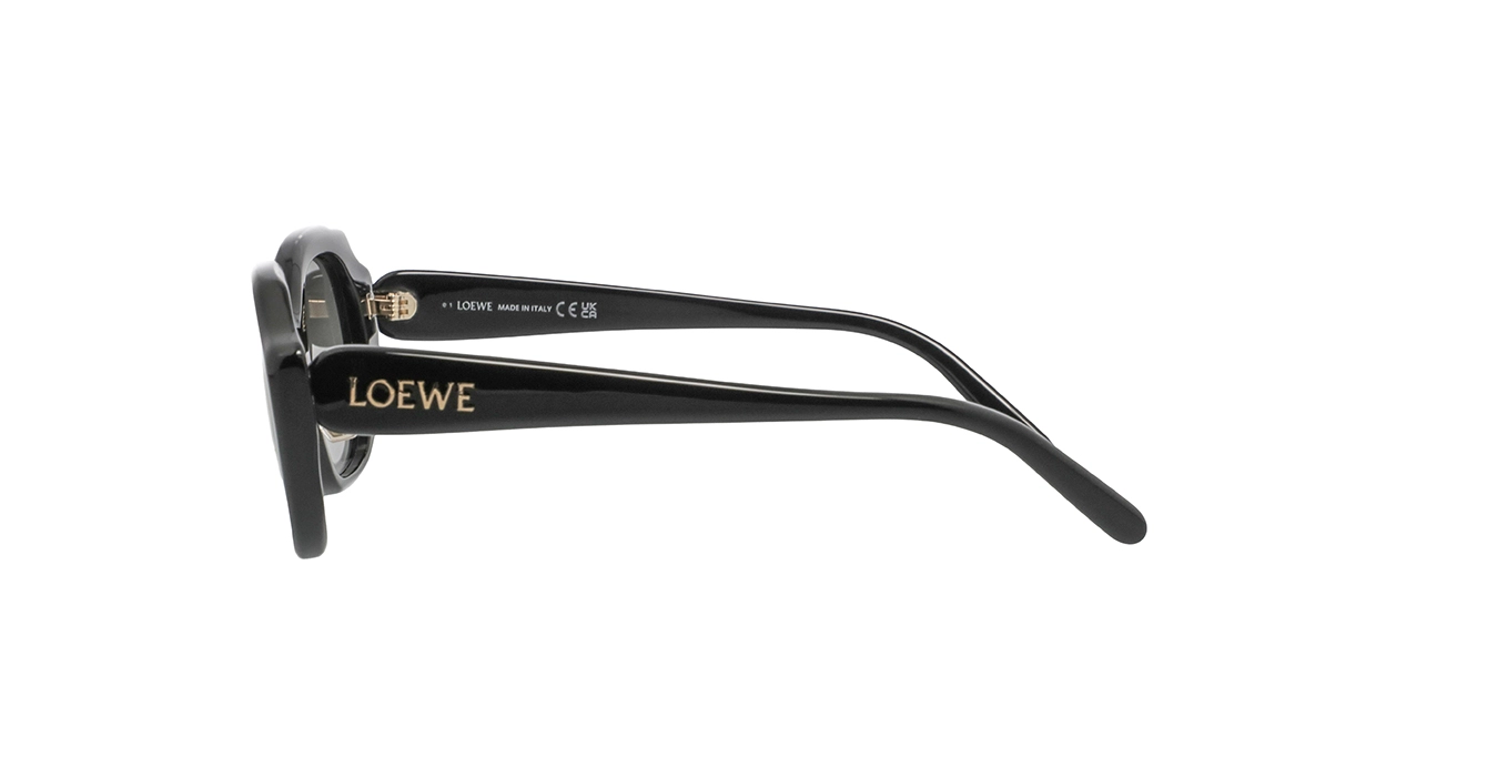 Loewe LW40191F 01B s52