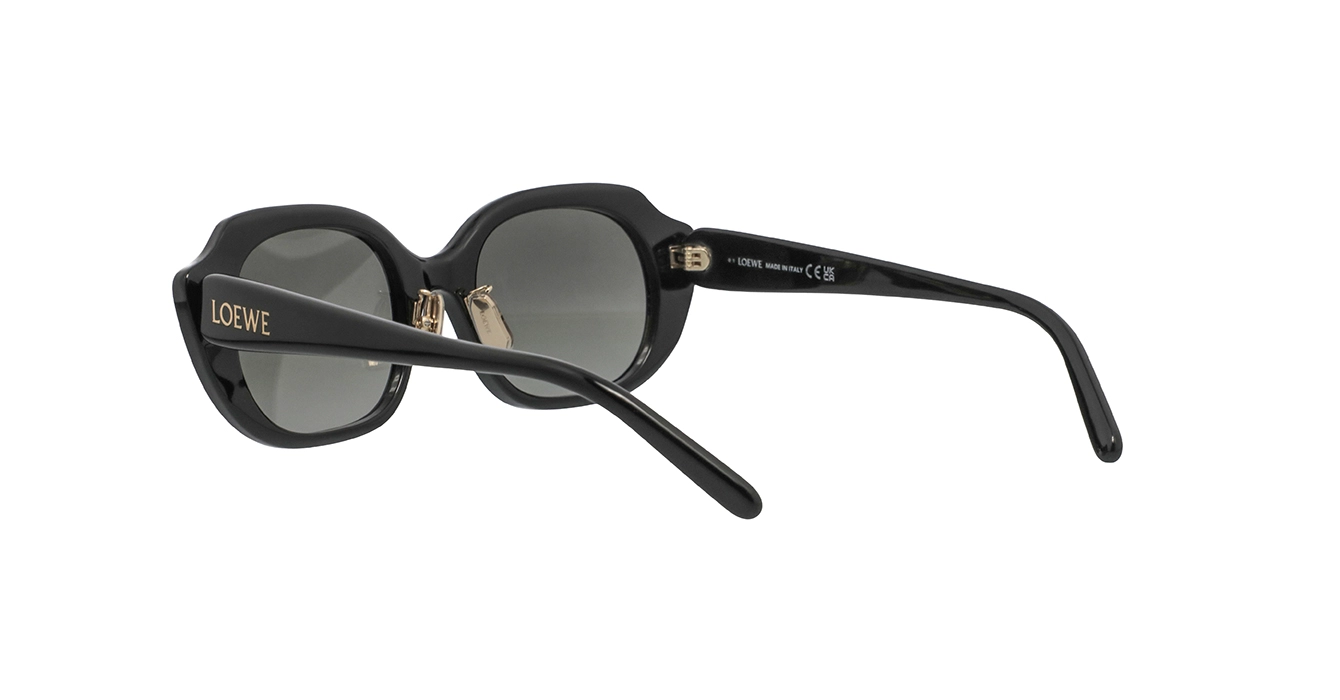 Loewe LW40191F 01B s52