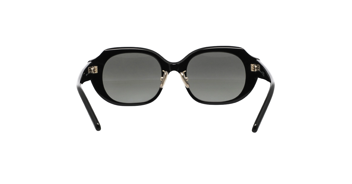 Loewe LW40191F 01B s52