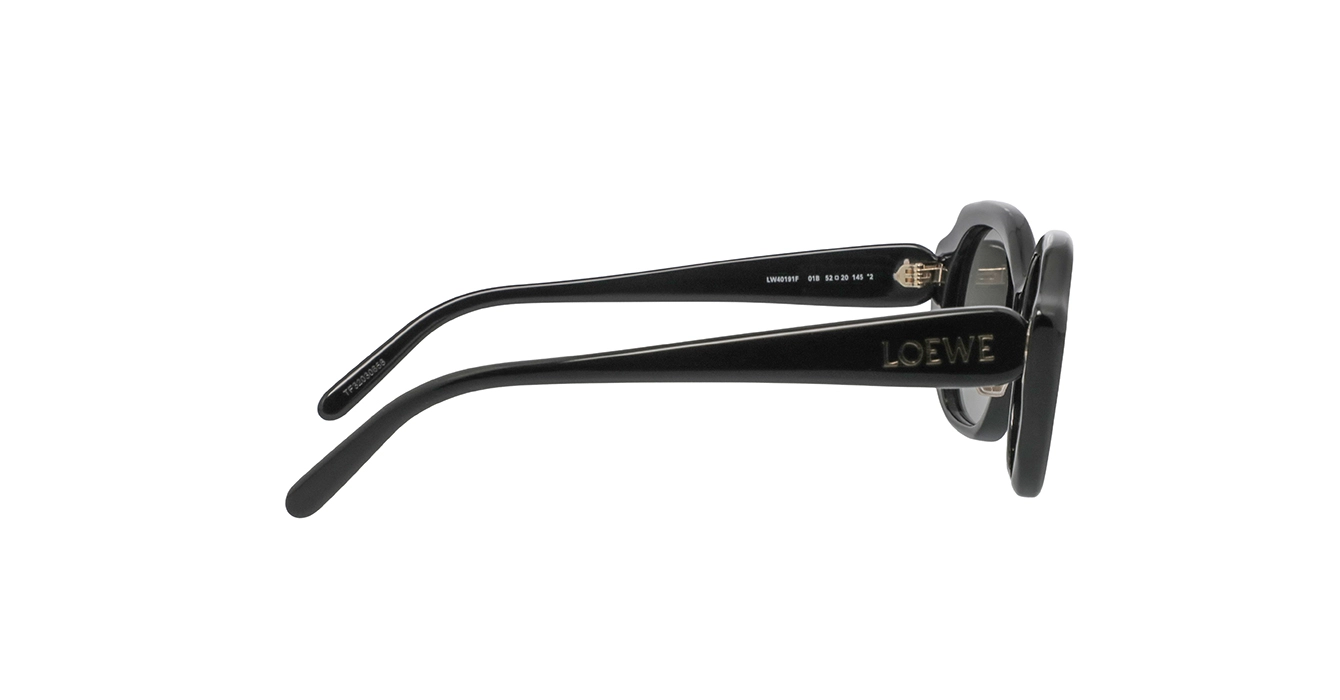 Loewe LW40191F 01B s52