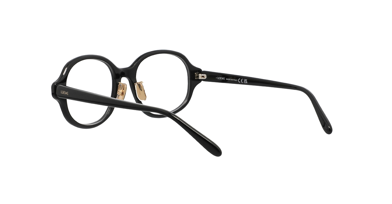 Loewe LW50116F 001 s53