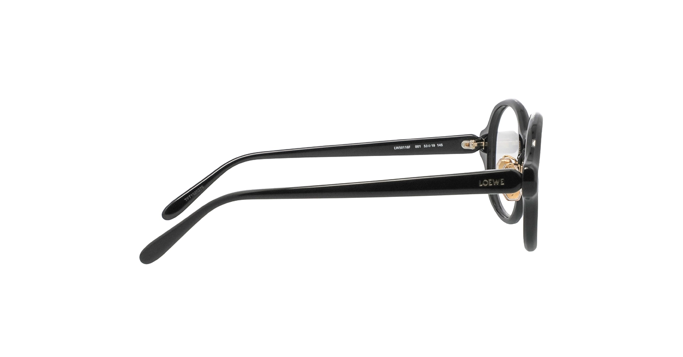 Loewe LW50116F 001 s53