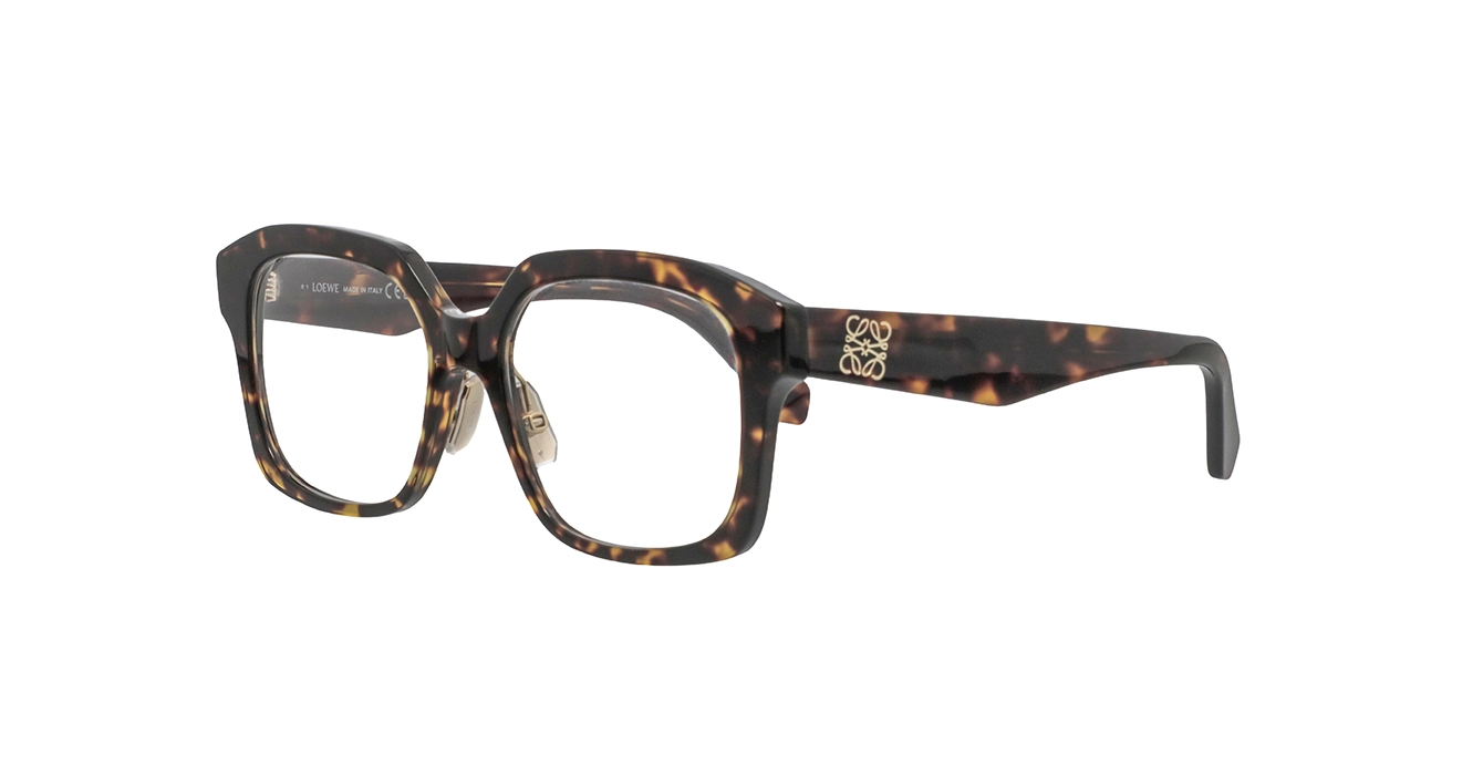 Loewe LW50119F 052 s54