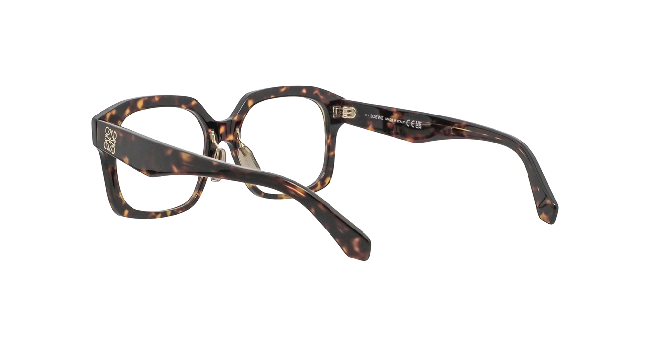 Loewe LW50119F 052 s54