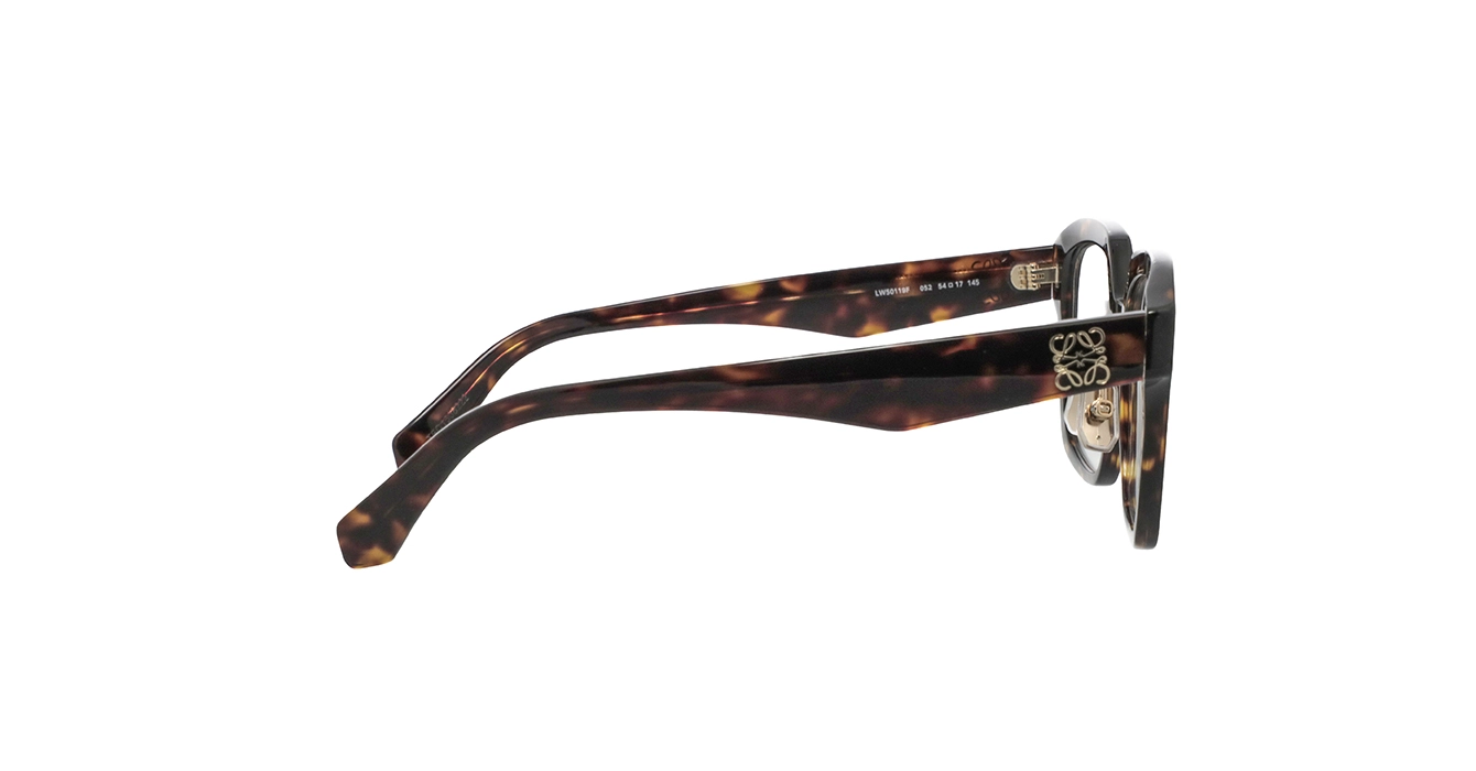 Loewe LW50119F 052 s54