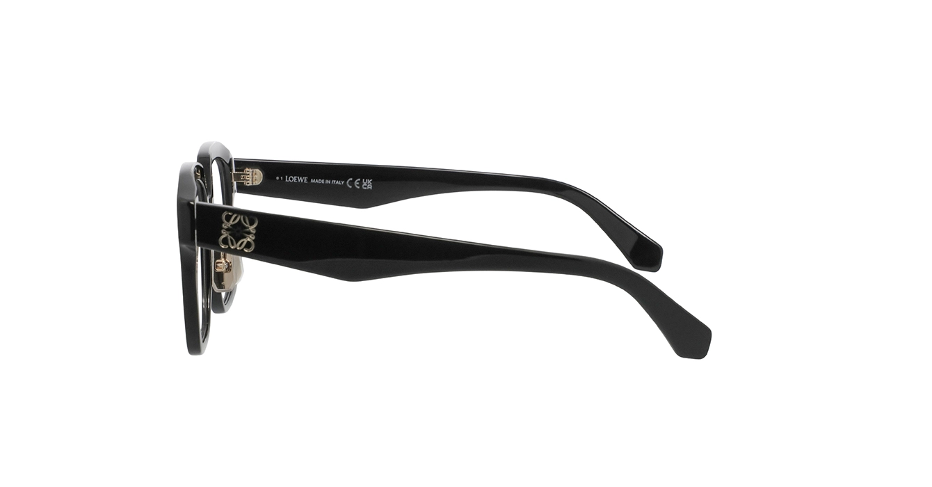 Loewe LW50119F 001 s54