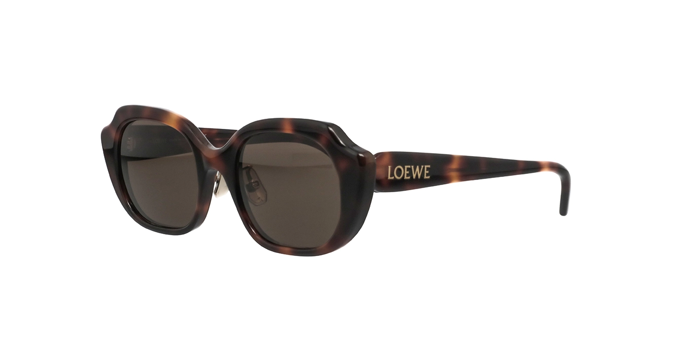 Loewe LW40191F 52E s52