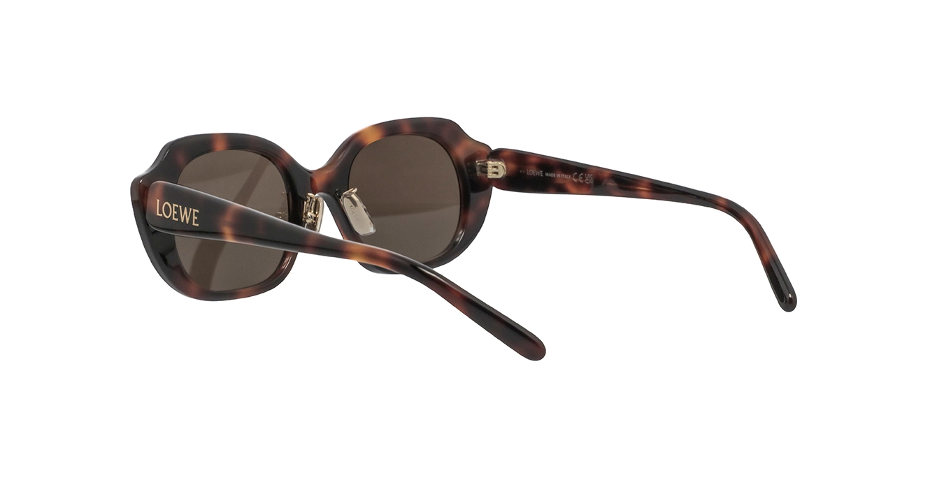 Loewe LW40191F 52E s52