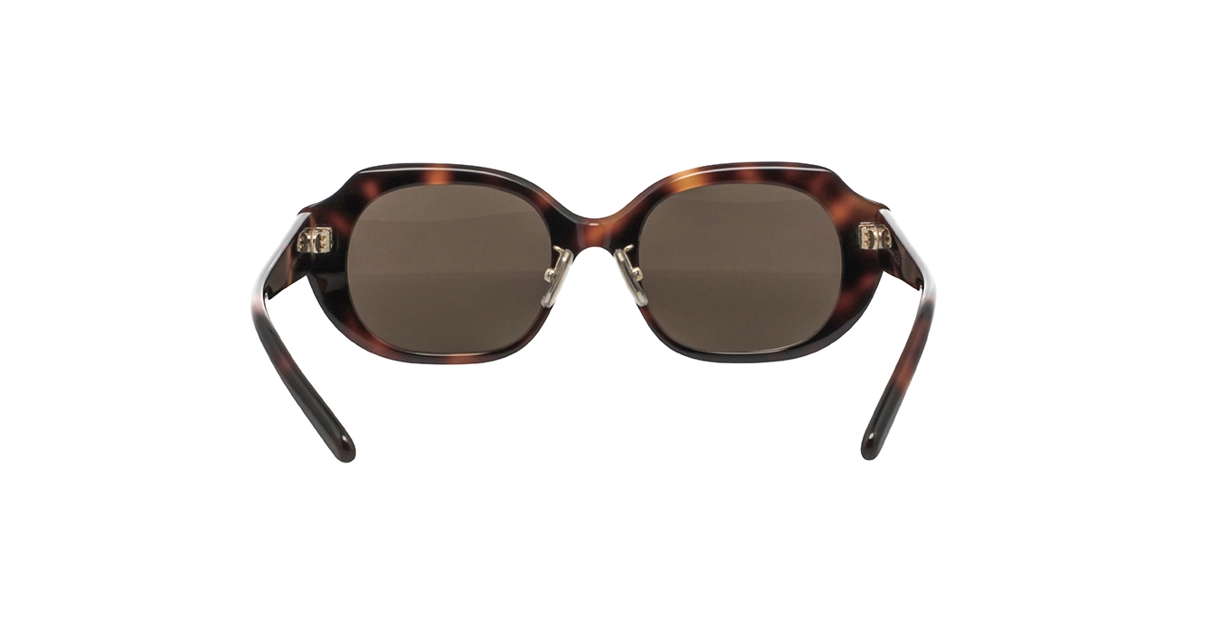 Loewe LW40191F 52E s52