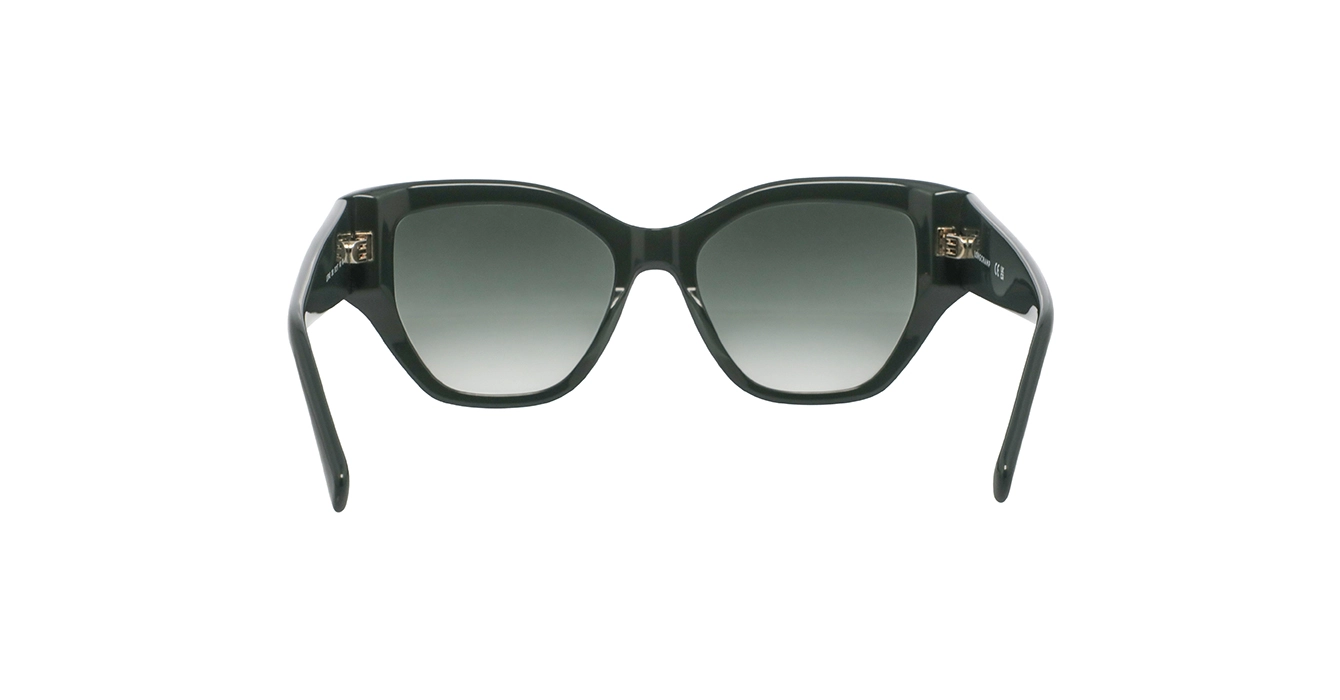 Longchamp LO764S 303 s51