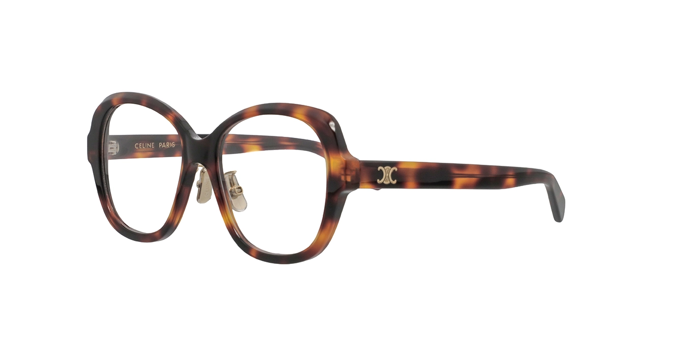 Celine CL50179F 053 s54