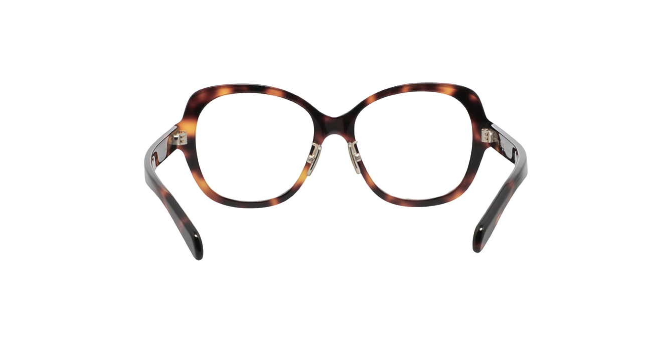 Celine CL50179F 053 s54