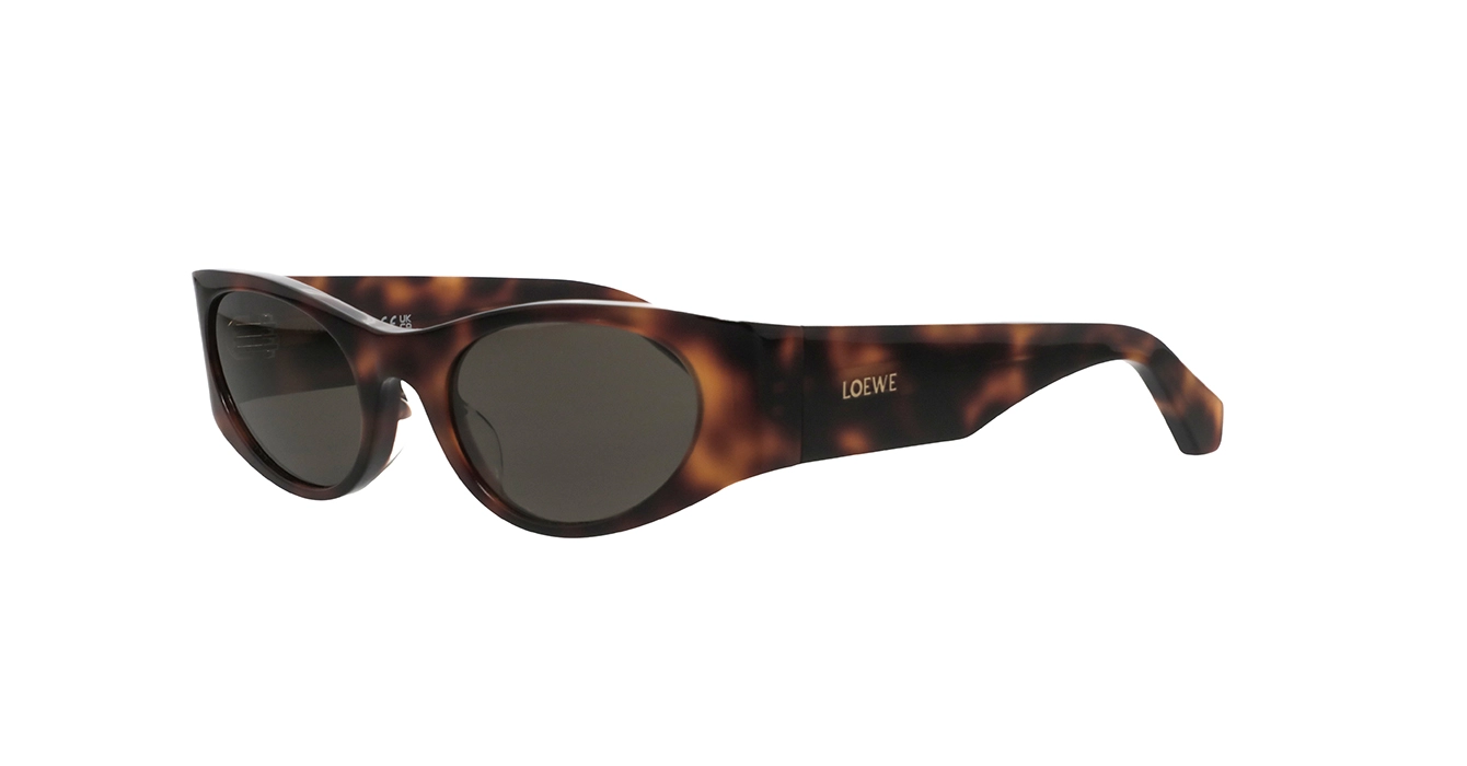 Loewe LW40196U 52E s53