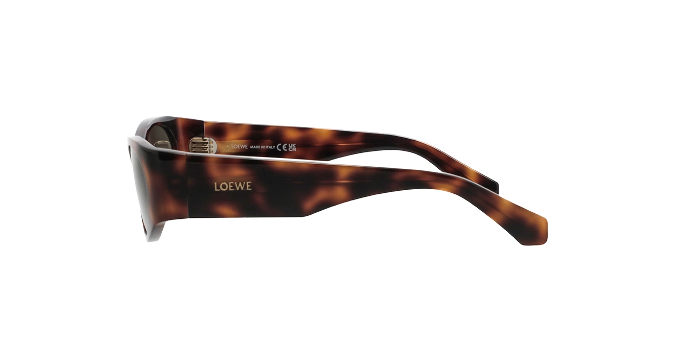 Loewe LW40196U 52E s53