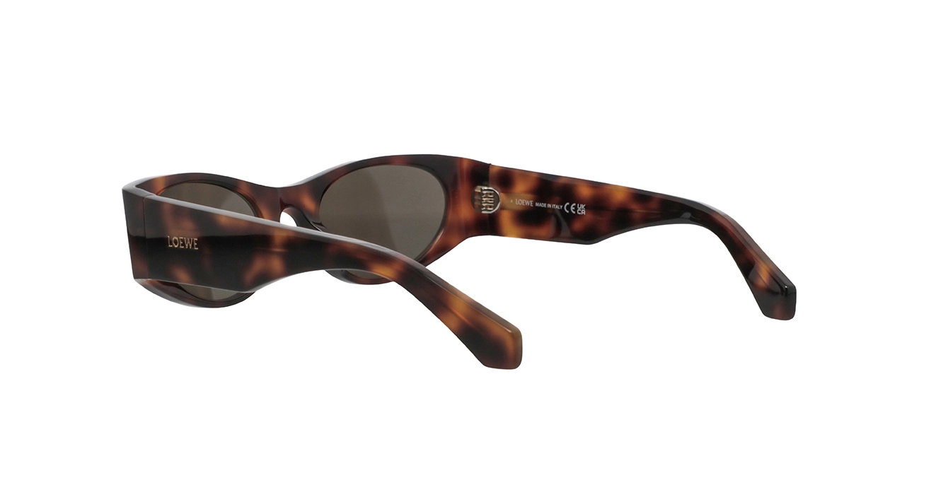 Loewe LW40196U 52E s53